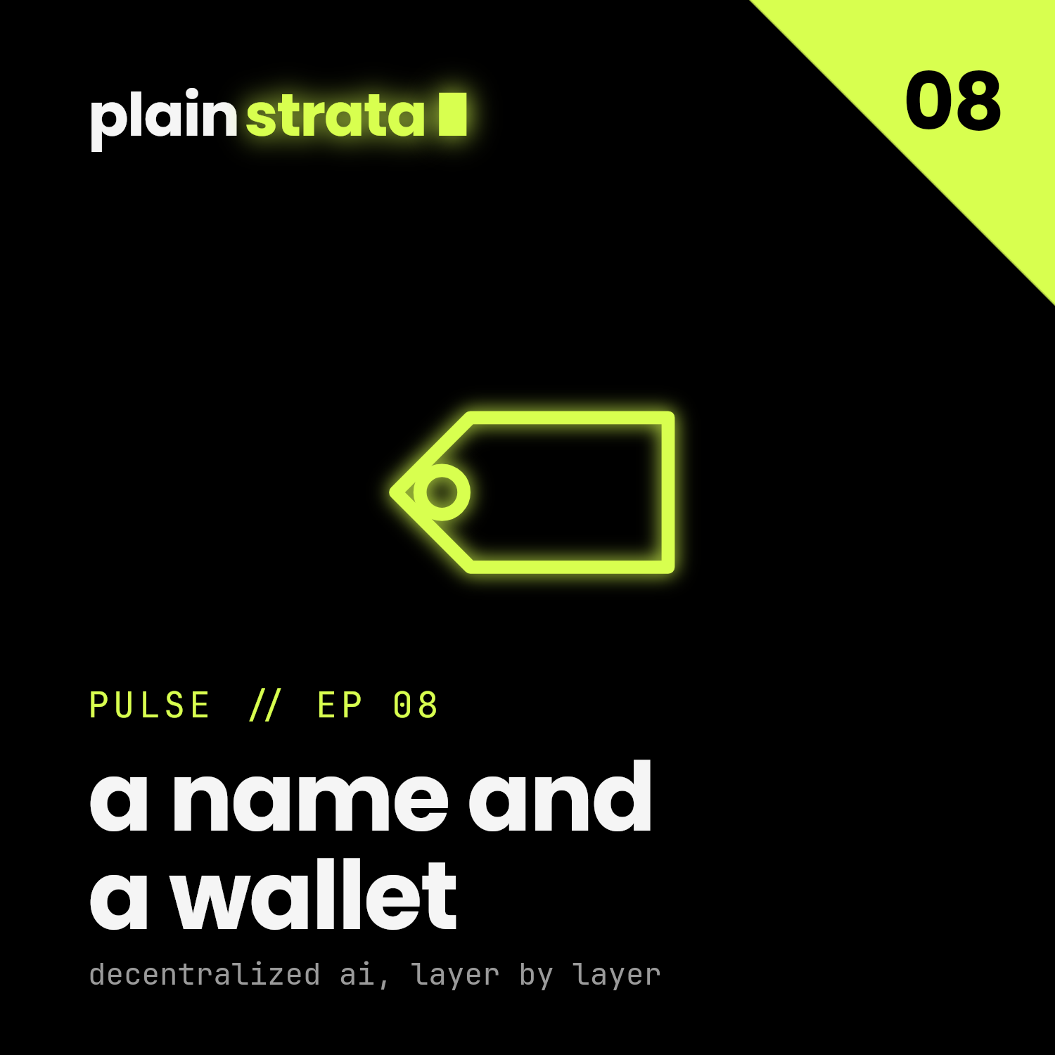 Plain Strata: A Name and a Wallet episode artwork